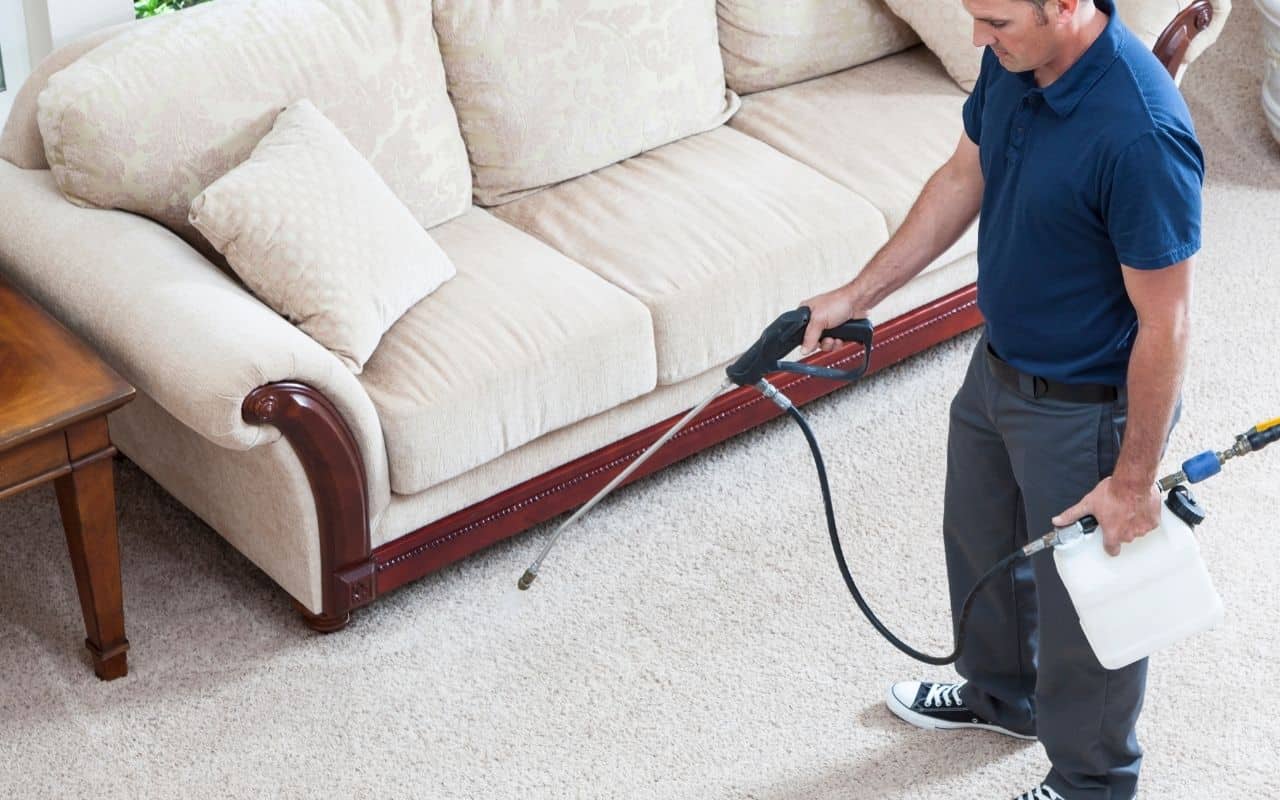 professional-carpet-cleaning-longevity-Appleby-Cleaning