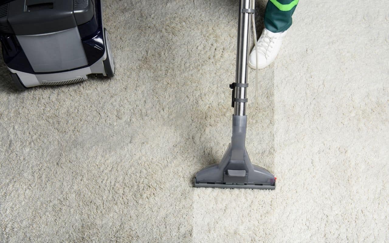 How Dog Owners Can Extend the Life of Their Carpet