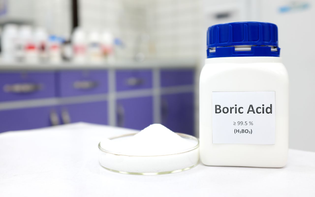 boric-acid-works-for-carpet-beetles-Appleby-Cleaning-and-Restoration