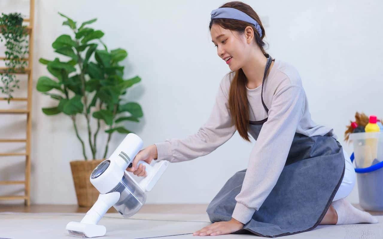 carpet-cleaning-tips-for-pet-owners-invest-in-a-handheld-extractor