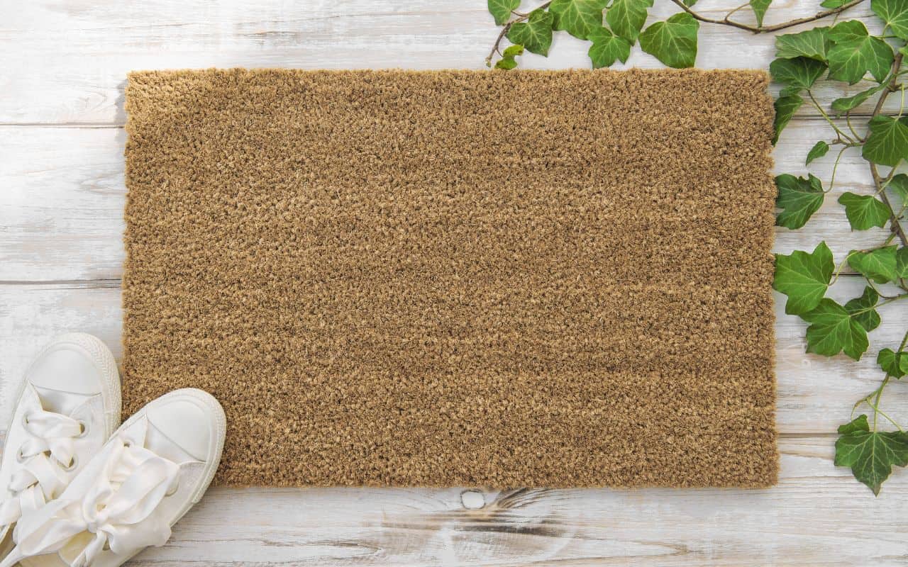 cleaning-coir-rush-sisal-or-grass-rugs
