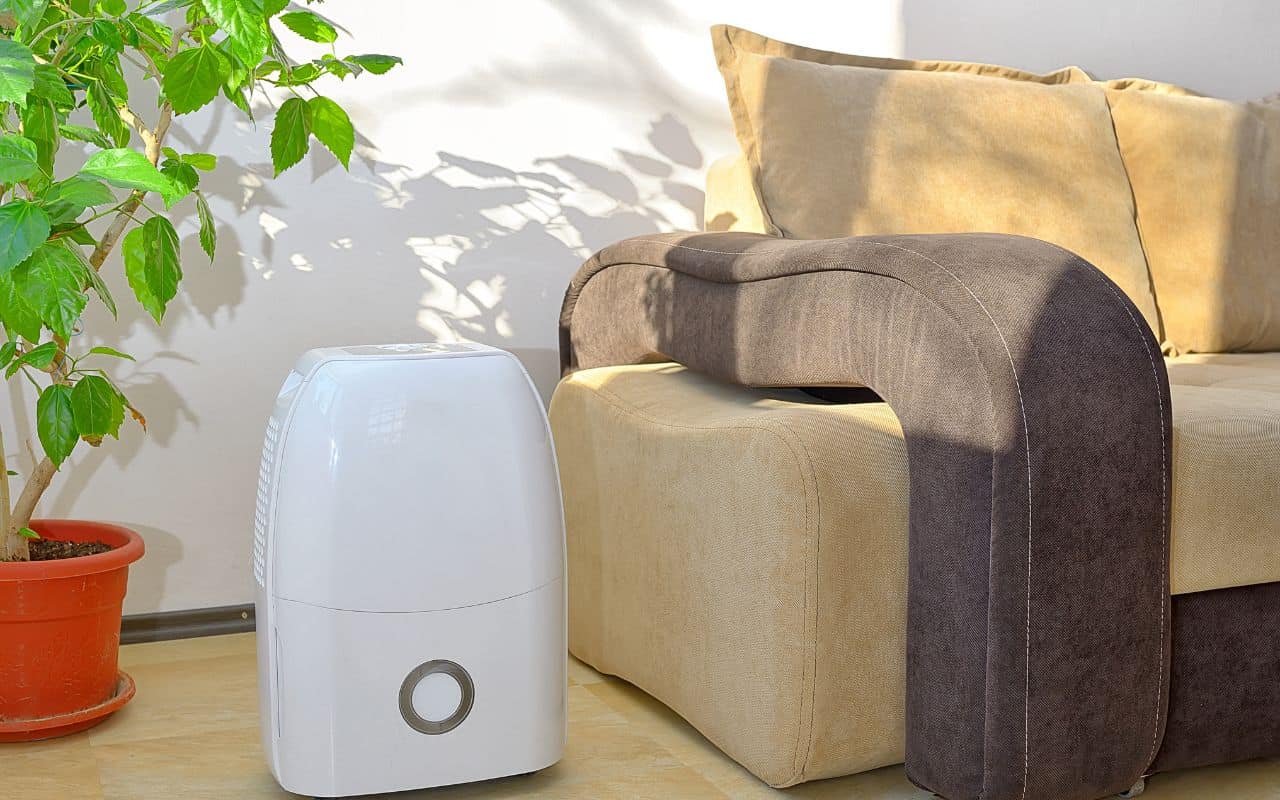 how-to-prevent-musty-smells-in-carpet-use-a-dehumidifier